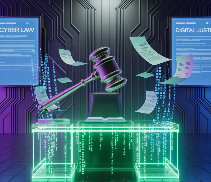 Growth of Cyber Law